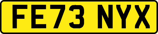 FE73NYX
