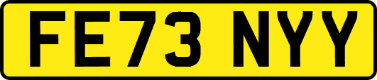 FE73NYY