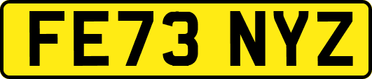 FE73NYZ