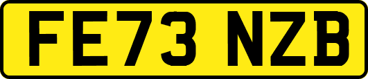 FE73NZB