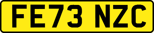 FE73NZC