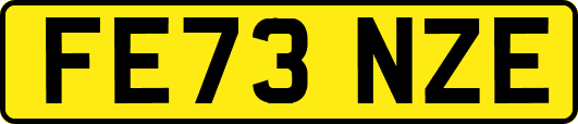 FE73NZE