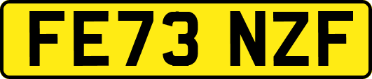 FE73NZF