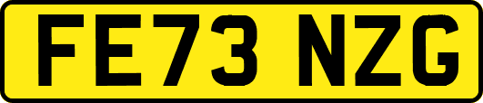 FE73NZG