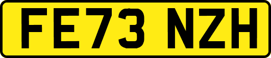FE73NZH