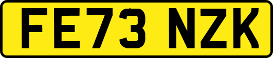 FE73NZK