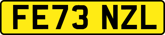 FE73NZL