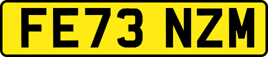 FE73NZM