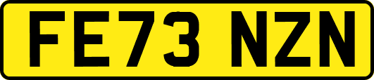 FE73NZN