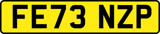FE73NZP