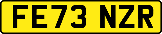FE73NZR