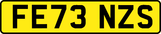 FE73NZS