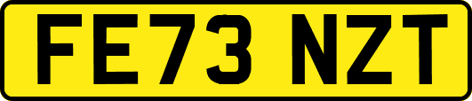 FE73NZT