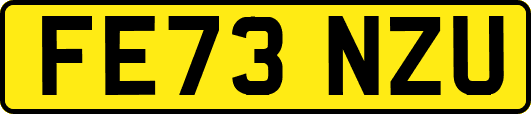 FE73NZU