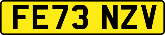 FE73NZV