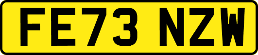 FE73NZW