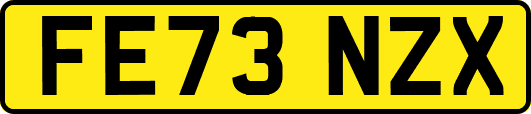 FE73NZX