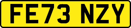 FE73NZY