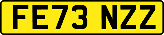 FE73NZZ