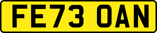 FE73OAN