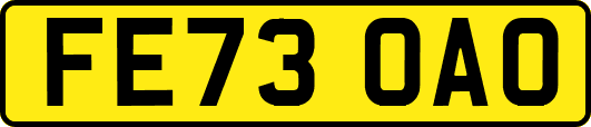 FE73OAO
