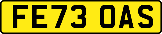FE73OAS