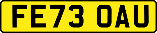 FE73OAU