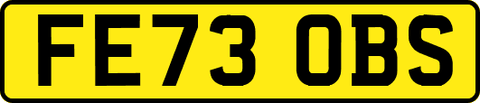 FE73OBS
