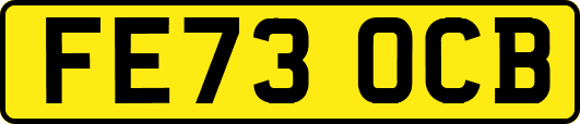 FE73OCB