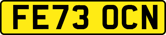 FE73OCN