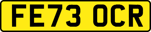 FE73OCR
