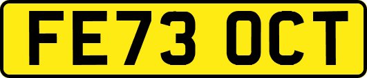 FE73OCT