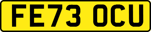 FE73OCU