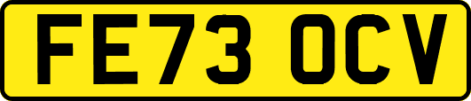 FE73OCV