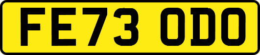 FE73ODO