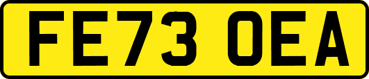 FE73OEA