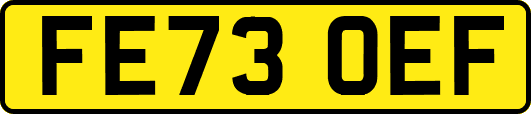 FE73OEF