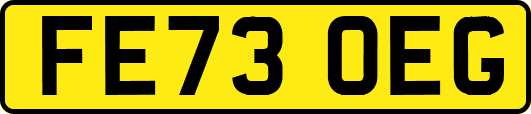 FE73OEG