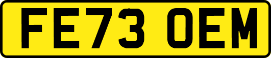 FE73OEM