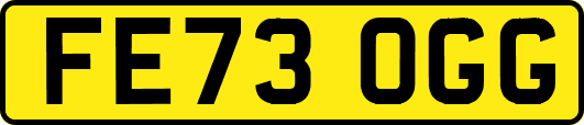 FE73OGG