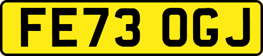 FE73OGJ