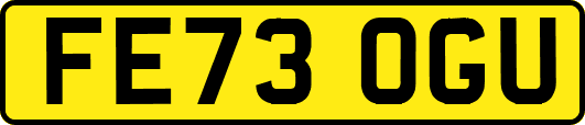 FE73OGU