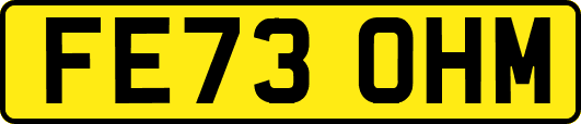 FE73OHM