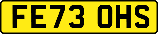 FE73OHS