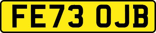 FE73OJB