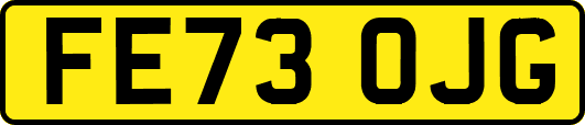 FE73OJG