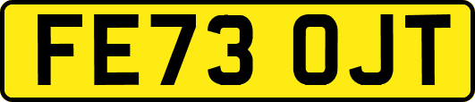 FE73OJT