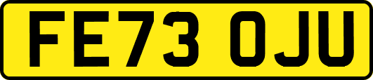 FE73OJU