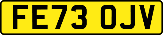 FE73OJV