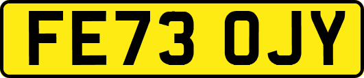 FE73OJY